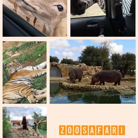 Oda ve Kahvaltı Gl Sun Palace 3*