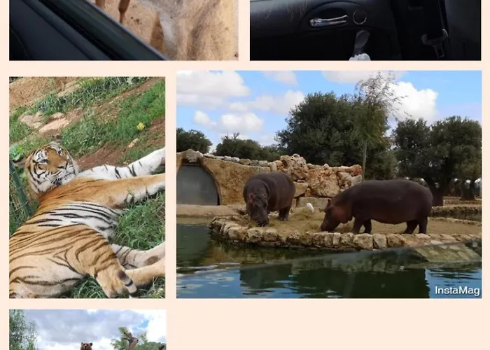 Bed and Breakfast Gl Sun Palace 3*